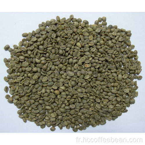 écran 15-17 grains de café vert du yunnan
